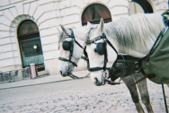 konstruktor